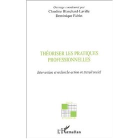 Théoriser les pratiques professionnelles