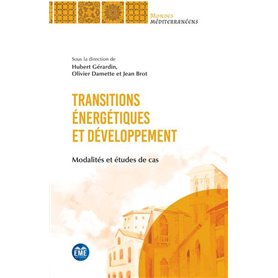 Transitions énergétiques et développement