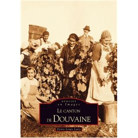 Douvaine (Le canton de)