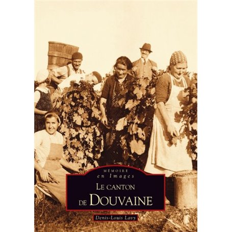 Douvaine (Le canton de)