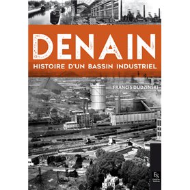 Denain - Histoire d'un bassin industriel