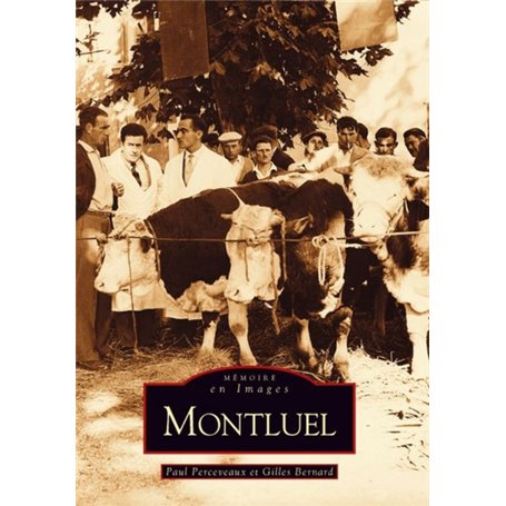 Montluel