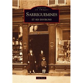 Sarreguemines et ses environs