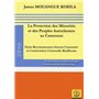 La protection des minorités et des peuples autochtones au Cameroun