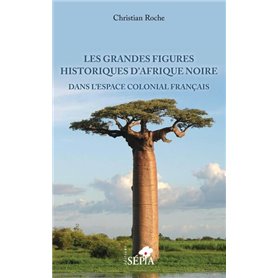 Les grandes figures historiques d'Afrique noire