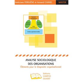 Analyse sociologique des organisations