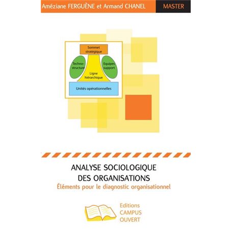 Analyse sociologique des organisations