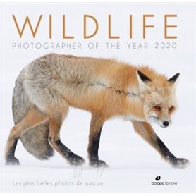 Wildlife photographer of the year 2020