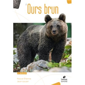 L'Ours Brun