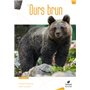 L'Ours Brun