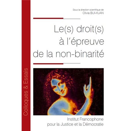 Le(s) droit(s) à l'épreuve de la non-binarité