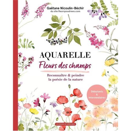 Aquarelle fleurs des champs