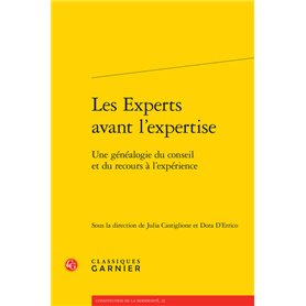 Les Experts avant l'expertise