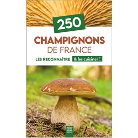 250 Champignons de France