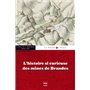 L'Histoire si curieuse des mines de Brandes