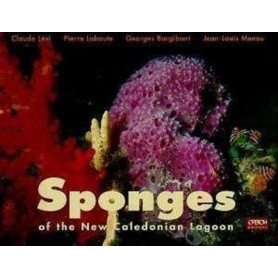 Sponges of the New Caledonian Lagoon