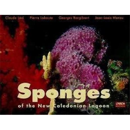 Sponges of the New Caledonian Lagoon