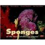 Sponges of the New Caledonian Lagoon