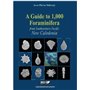 A guide to 1,000 Foraminifera from Southwestern Pacific - New Caledonia