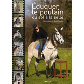 Éduquer le poulain du sol à la selle