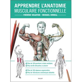 Apprendre l'anatomie musculaire fonctionnelle