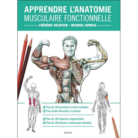 Apprendre l'anatomie musculaire fonctionnelle