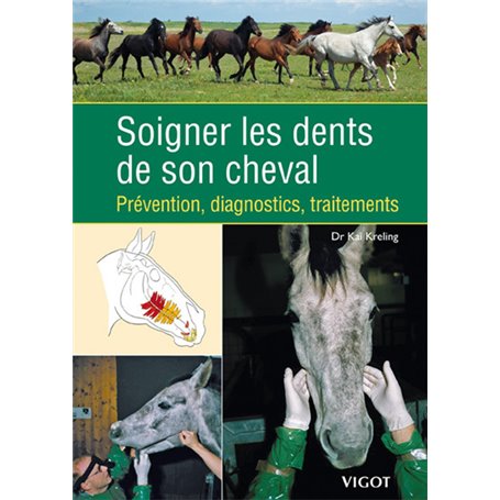 Soigner les dents de son cheval