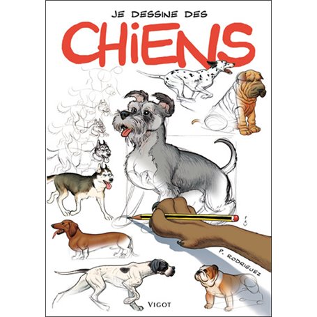 Je dessine des chiens