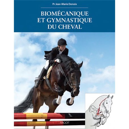 Biomécanique et gymnastique du cheval