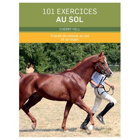 101 exercices au sol