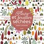 Fleurs et feuilles séchées