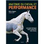 Anatomie du cheval et performance