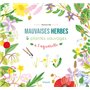 Mauvaises herbes et plantes sauvages à l'aquarelle