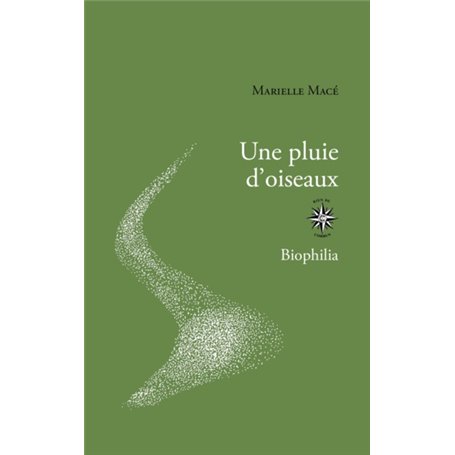 Une pluie d'oiseaux