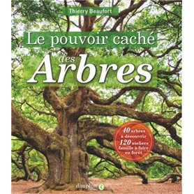 Le pouvoir caché des arbres