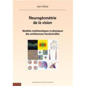 Neurogéomètrie de la vision