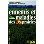 Ennemis et maladies des prairies