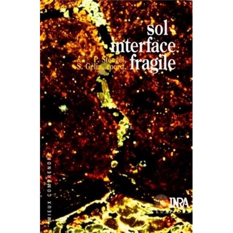 Sol : interface fragile