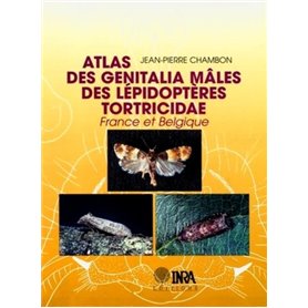 Atlas des genitalia mâles des lépidoptères tortricidae