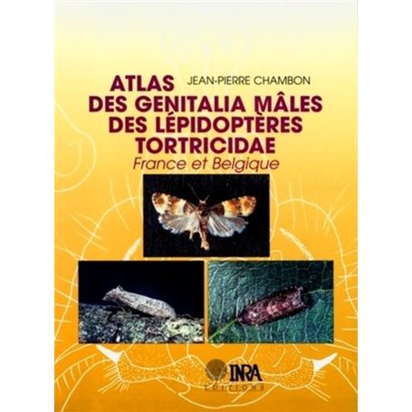 Atlas des genitalia mâles des lépidoptères tortricidae