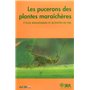 Les pucerons des plantes maraîchères