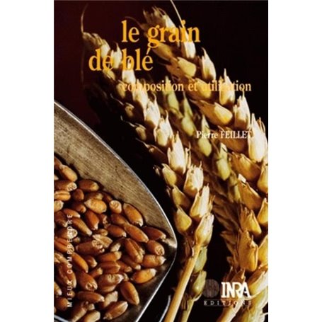 Le grain de blé