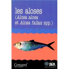Les aloses (Alosa alosa et Alosa fallax spp.)