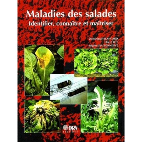 Maladies des salades