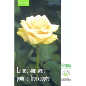 La rose sous serre pour la fleur coupée