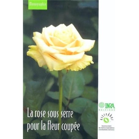 La rose sous serre pour la fleur coupée