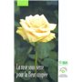 La rose sous serre pour la fleur coupée