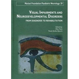 Visual impairments and neurodevelopmental disorders