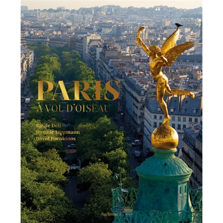 Paris à vol d'oiseau