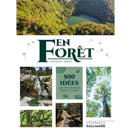 En forêt